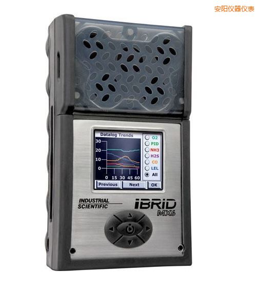安陽(yáng)復(fù)合式6氣體檢測(cè)儀