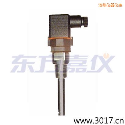 濱州含有溫度的兩線電導(dǎo)率電極