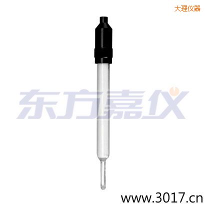 大理玻璃外殼無溫補(bǔ)兩線電導(dǎo)率電極