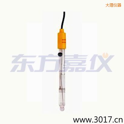 大理可填充玻璃管電極