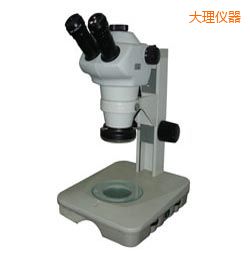 大理時代體視顯微鏡