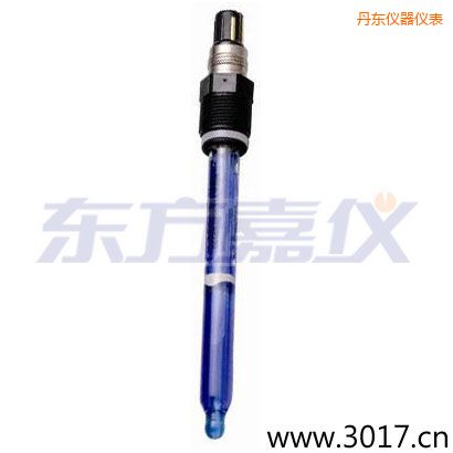 丹東測(cè)純水,超純水 PH電極