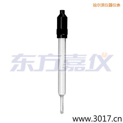 哈爾濱玻璃外殼無溫補兩線電導(dǎo)率電極