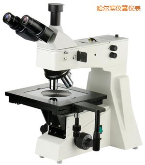 �����I���ý����@΢�R