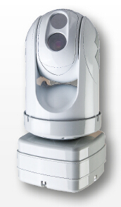 �����P�t�����x