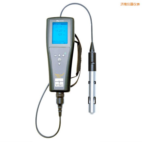 濟南便攜式離子/電導率/溫度測試儀