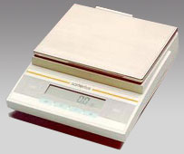 南昌電子天平,3100g,0.1g