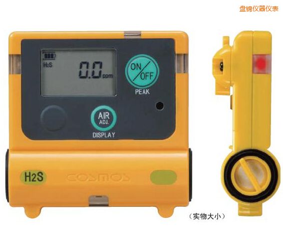 盤錦硫化氫計(jì)