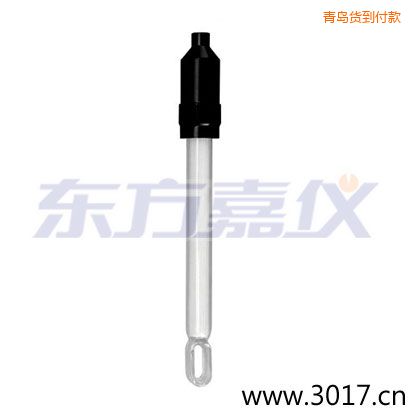 青島玻璃外殼無溫補兩線電導率電極