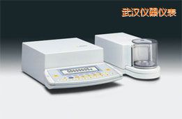 ��h��΢����ƽ,2.1g,0.1��g