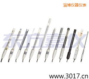 淄博離子選擇性電極